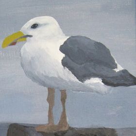 Möwe.JPG